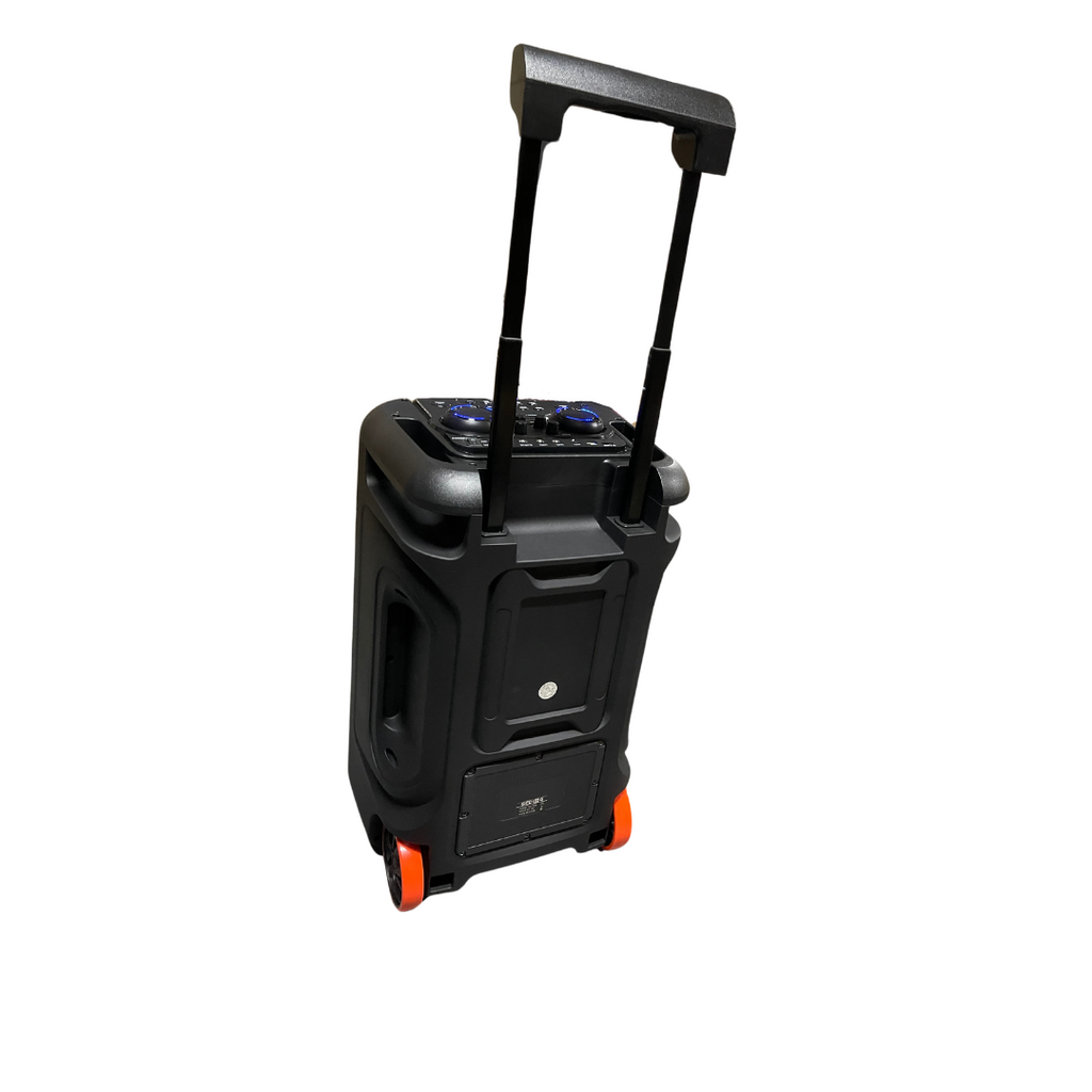CABINA 12" PROFESIONAL